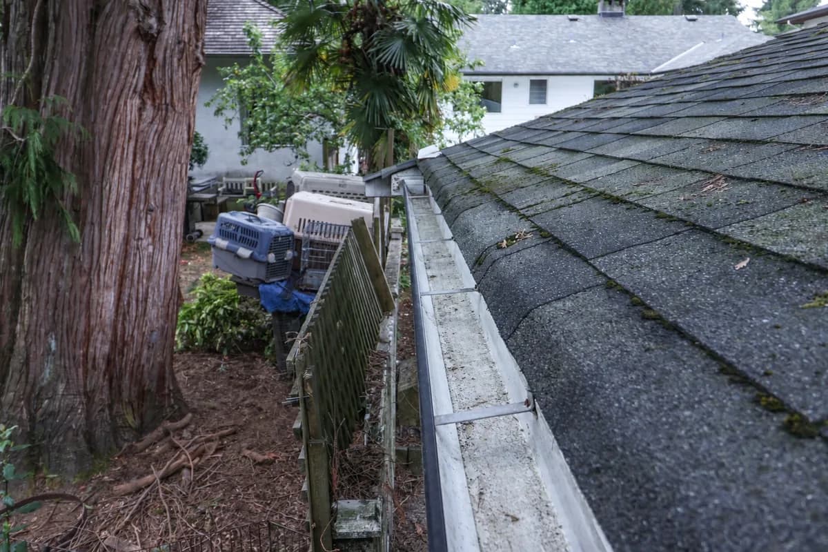 Gutter Cleaning on a Nanaimo home