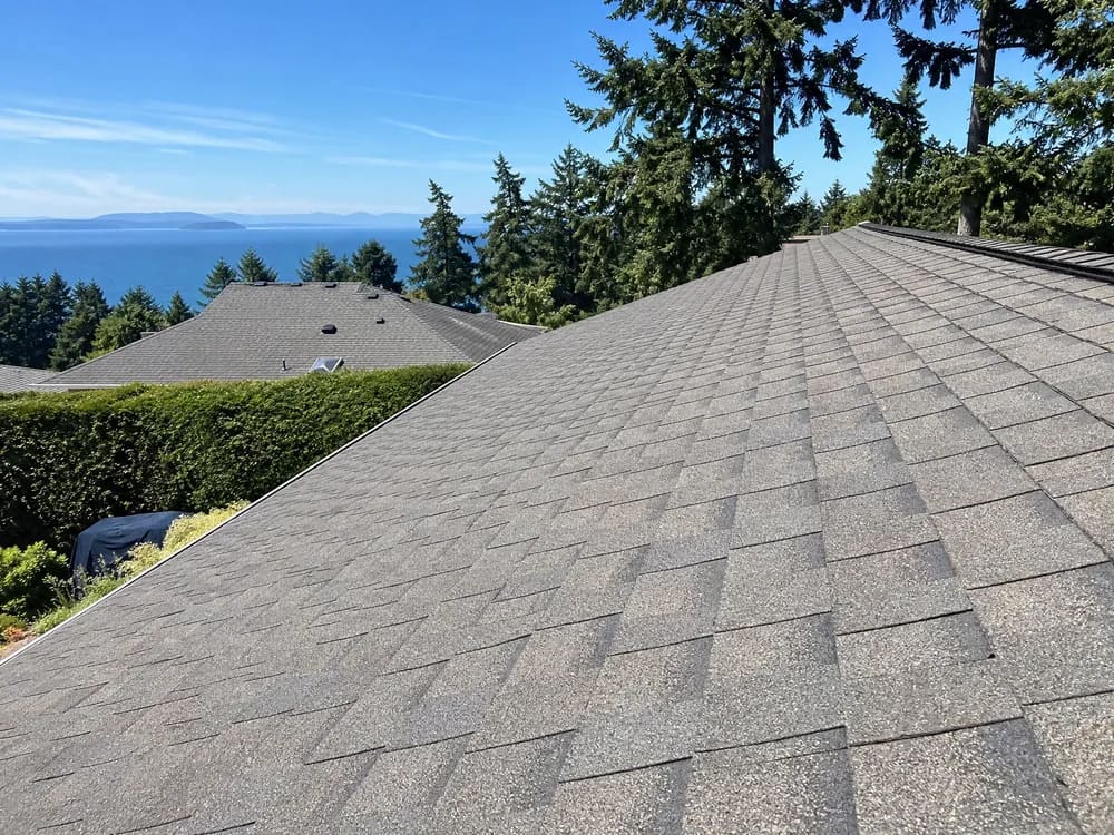 An asphalt shingle roof cleared of moss on Vancouver Island
