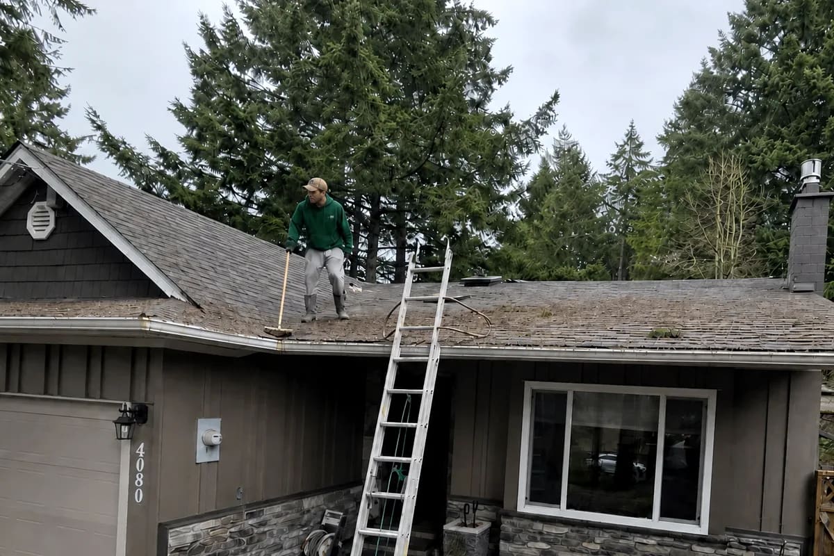 Roof Cleaning & Moss Removal in Nanaimo, BC