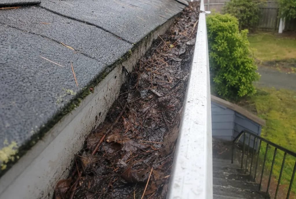 Gutter cleaning in Nanaimo — before